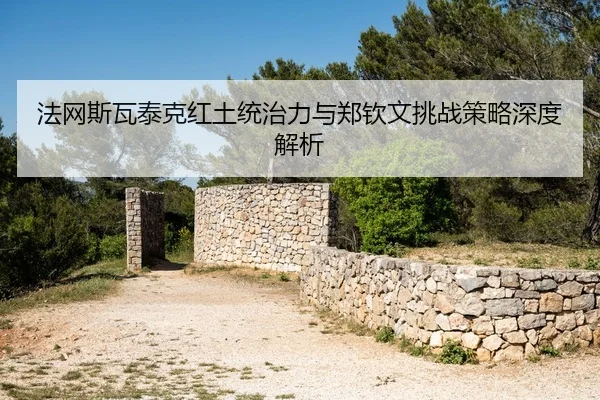 fa-wang-si-wa-tai-ke-hong-tu-tong-zhi-li-yu-zheng-qin-wen-tiao-zhan-ce-lve-shen-du-jie-xi-2-621.jpg