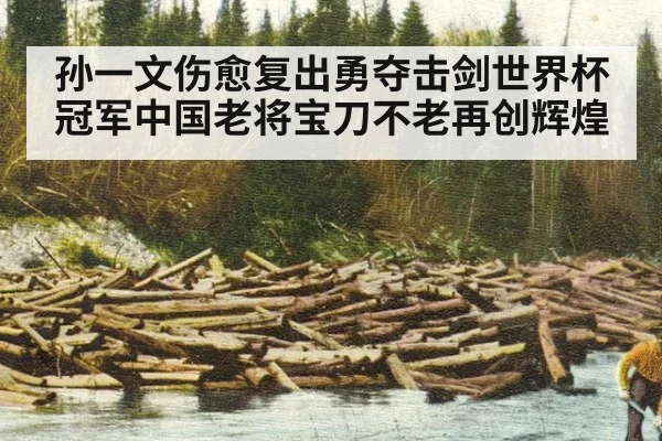 孙一文伤愈复出勇夺击剑世界杯冠军中国老将宝刀不老再创辉煌