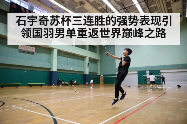 badminton court action